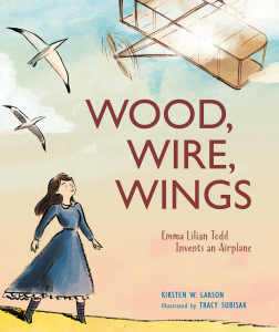 This is the book cover for WOOD, WIRE, WINGS.